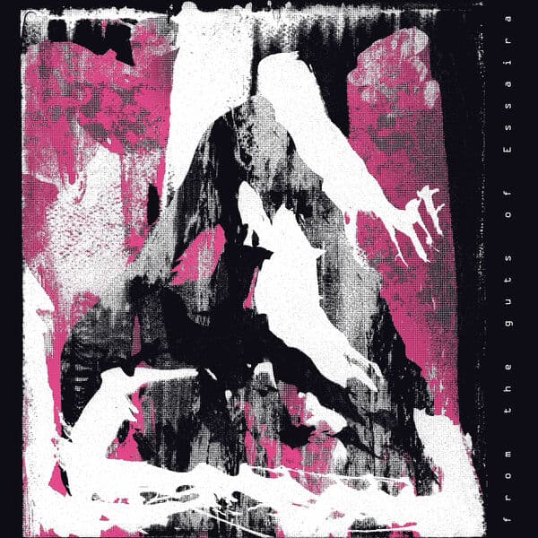 Essaira-From_The_Guts_Of_Essaira-_RWCLTR030_-24BIT-WEB-FLAC-2026-BABAS